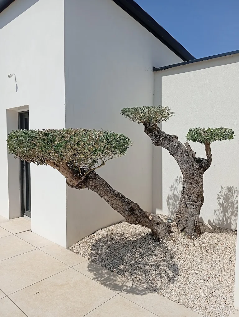 Réalisation Culture Jardin